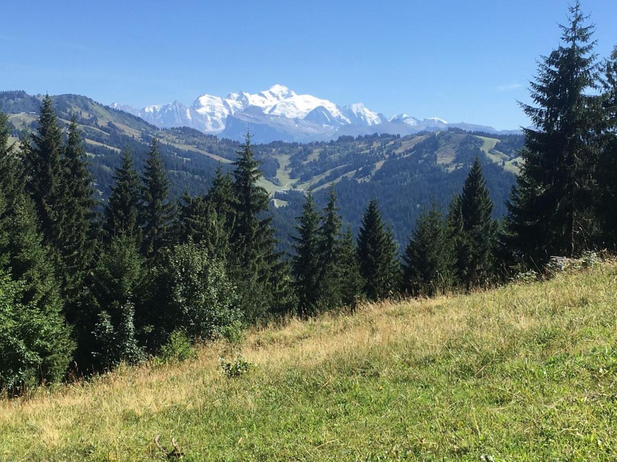 Apartment In Northern Alps With Skiing Nearby Les Gets Εξωτερικό φωτογραφία