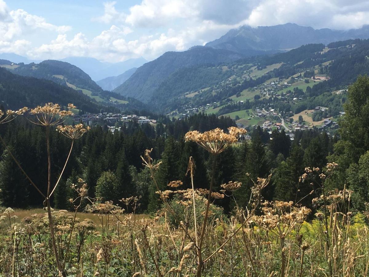 Apartment In Northern Alps With Skiing Nearby Les Gets Εξωτερικό φωτογραφία