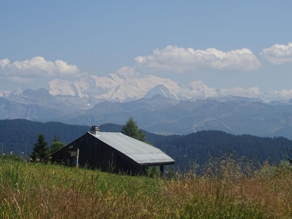 Apartment In Northern Alps With Skiing Nearby Les Gets Εξωτερικό φωτογραφία