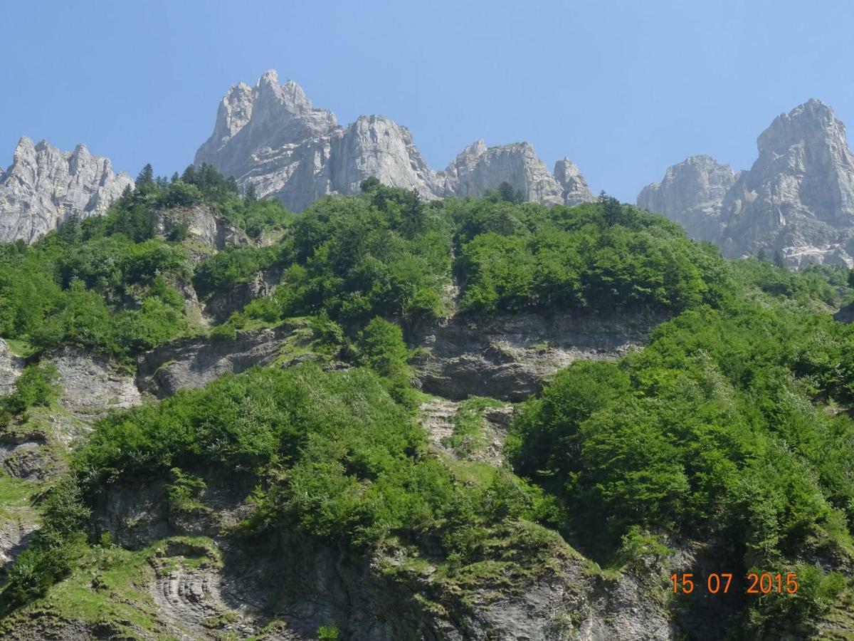 Apartment In Northern Alps With Skiing Nearby Les Gets Εξωτερικό φωτογραφία