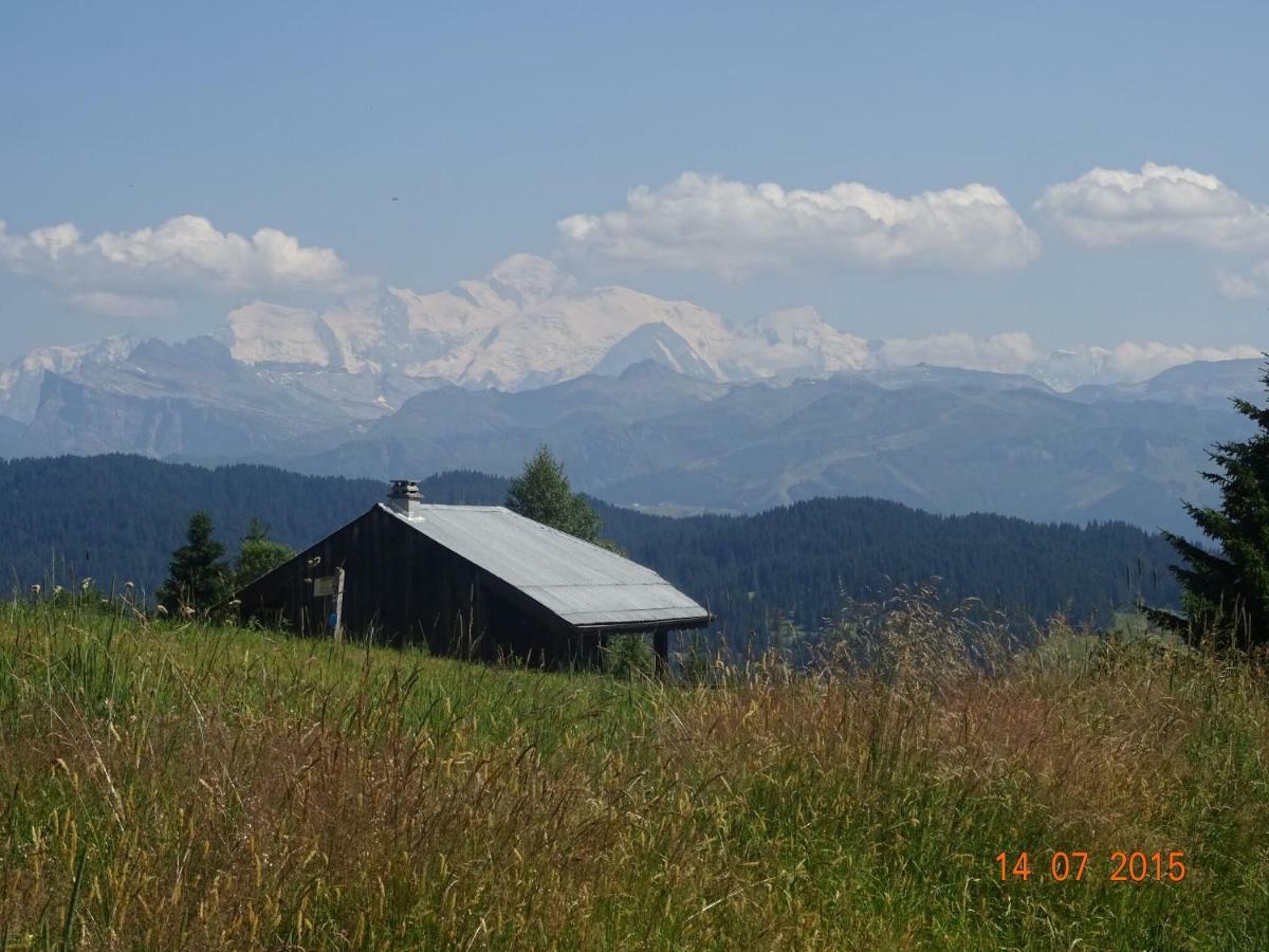 Apartment In Northern Alps With Skiing Nearby Les Gets Εξωτερικό φωτογραφία